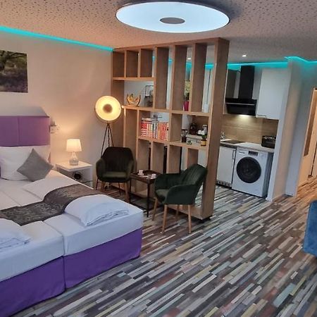 Studio-Apartment ' Andrei 1 ' - Neu In Neuburg An Der Donau Ngoại thất bức ảnh